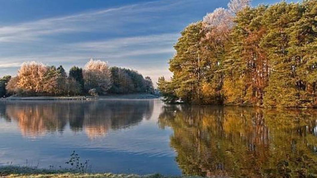 Tranquil Accommodation In A Great Location. Lanark Eksteriør billede